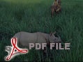 Chitwan National Park Safari